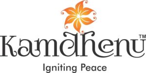 51+VGar63gL._AC_UF894,1000_QL80_